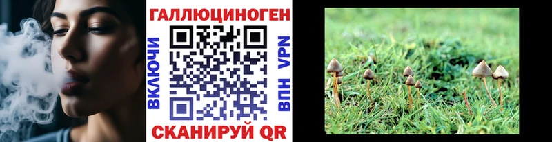 Псилоцибиновые грибы мицелий  Ковдор 